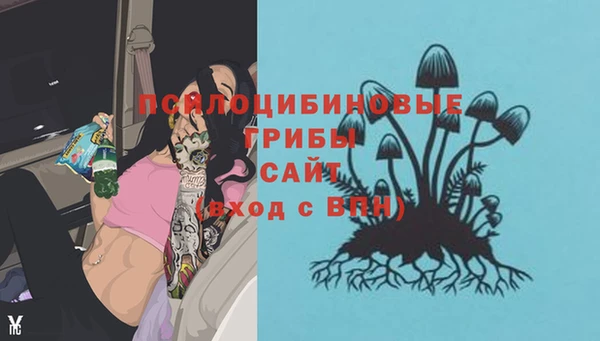 прущие крисы Касимов