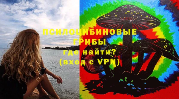 ГАЛЛЮЦИНОГЕННЫЕ ГРИБЫ Карталы