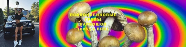крисы Карпинск
