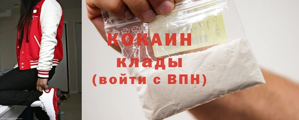 ГАЛЛЮЦИНОГЕННЫЕ ГРИБЫ Карталы