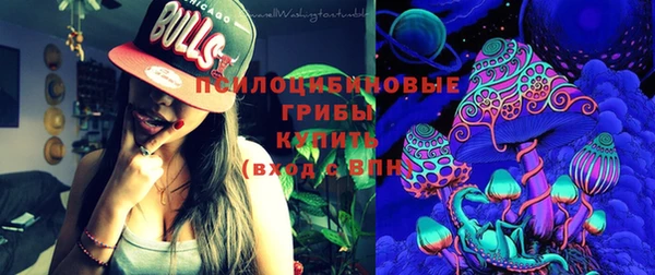 крисы Карпинск