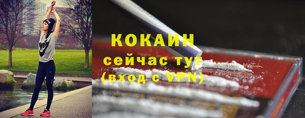 ГАЛЛЮЦИНОГЕННЫЕ ГРИБЫ Карталы