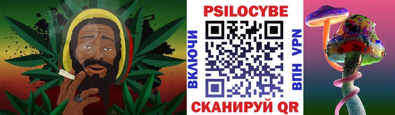Купить где  Заволжск  Псилоцибиновые грибы прущие грибы 